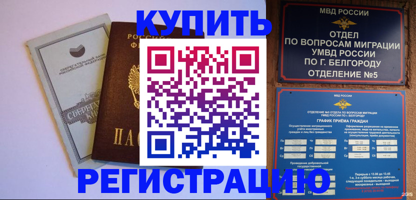 прописка гарантия в Элисте